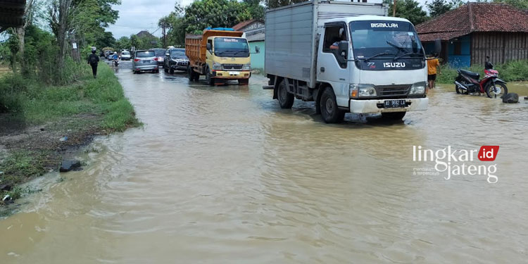 Update Kondisi Banjir di Pati, 10 Kecamatan Lumpuh