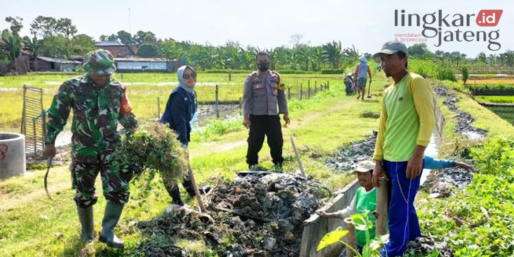 Antisipasi Banjir, Warga Kedungrejo Grobogan Bersihkan Saluran Air