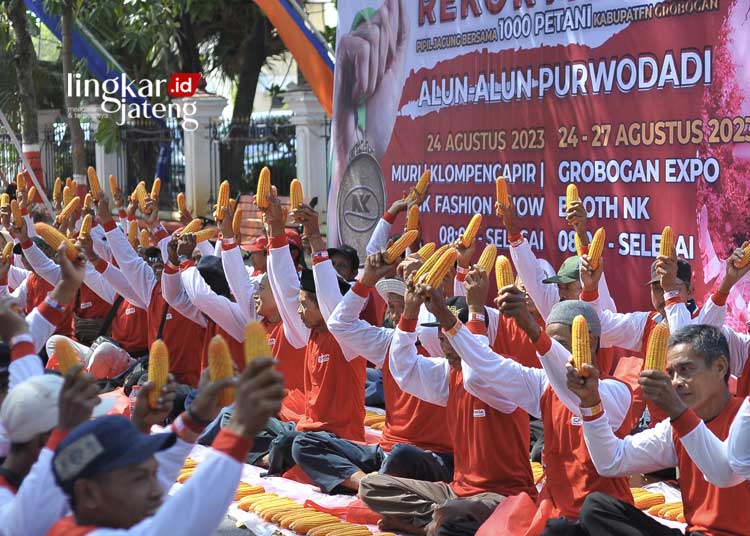 Syngenta Pecahkan Rekor MURI Pipil Jagung Bersama 1.000 Petani Kabupaten Grobogan