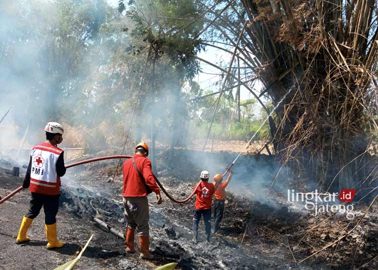 22 Kasus Karhutla Terjadi di Grobogan, Warga Diajak Aktif Cegah Kebakaran