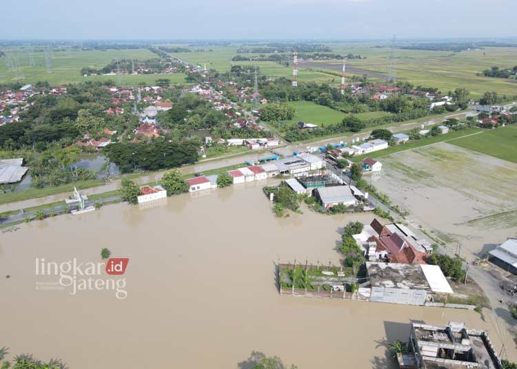 Banjir di Grobogan Rendam 11 Kecamatan, Tinggi Air Capai 1 Meter