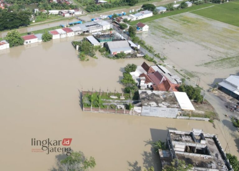 33 TPS di Grobogan Terdampak Banjir, Paling Parah di Desa Kemiri