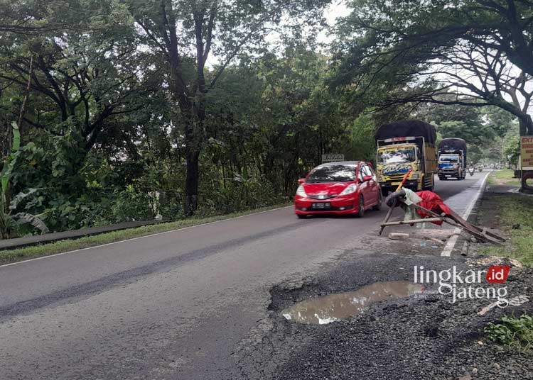Waspada! Jalan Purwodadi-Semarang Berlubang Kerap Celakai Pengendara